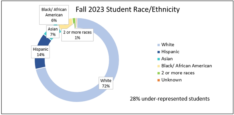 Saint Anthony College of Nursing Ethnicity Graph